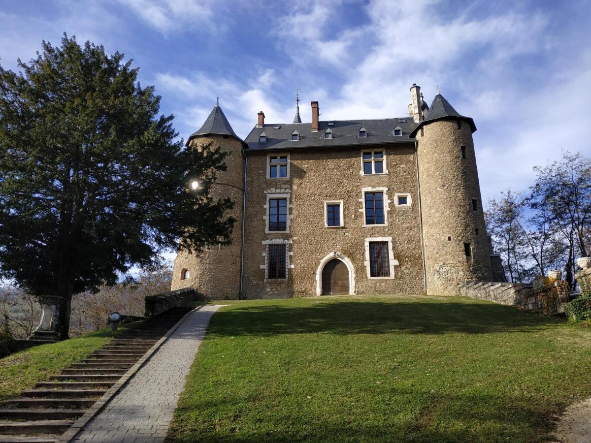 Appartement Chateau Uriage-Chamrousse Saint-Martin-d'Uriage Exterior photo